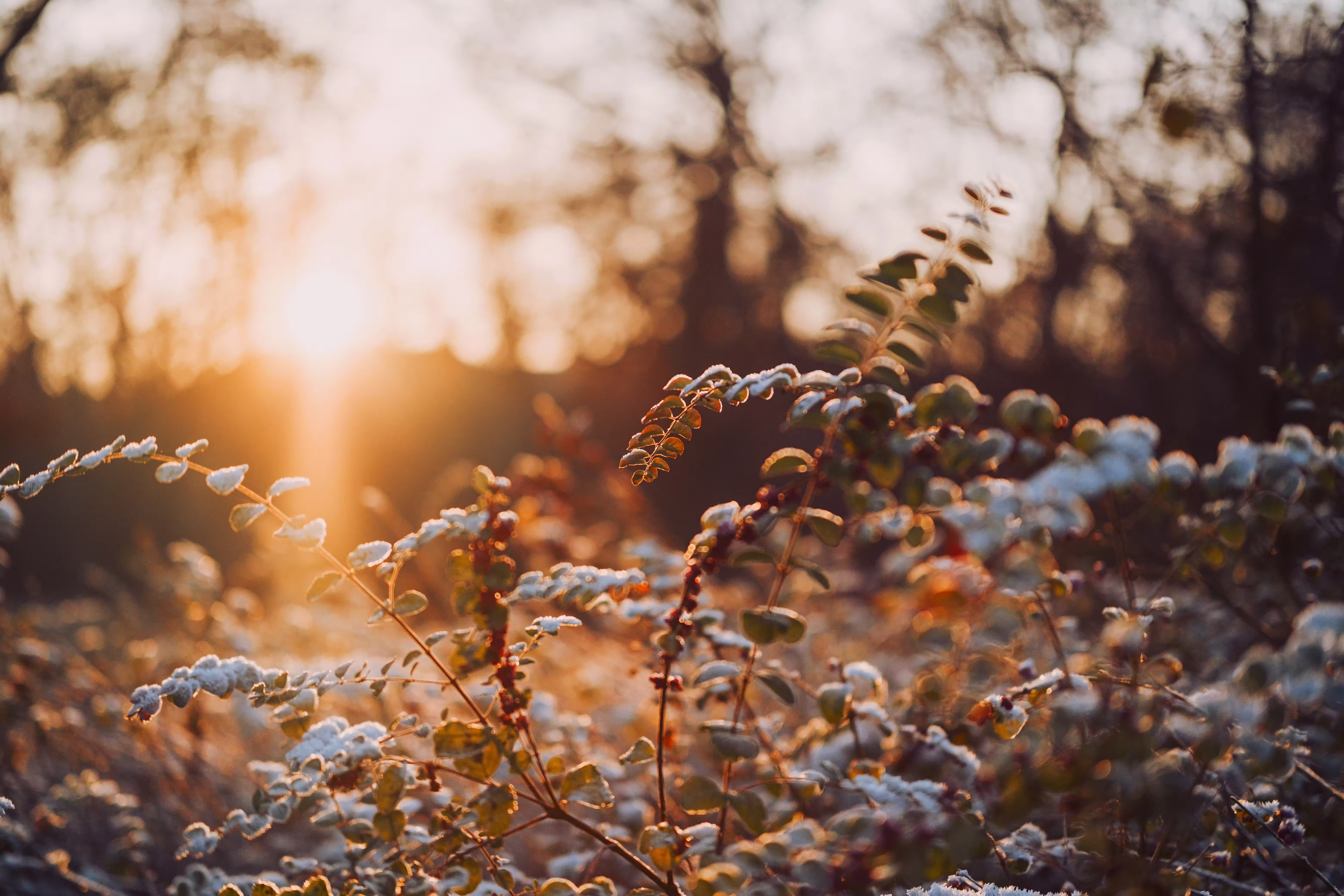 Featured image of post Linux Nvidia GPU 驱动离线更新（runfile）